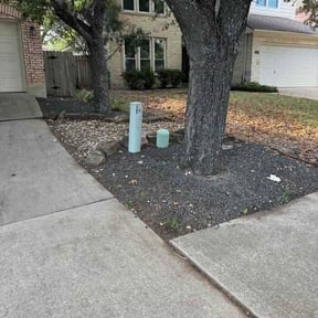 Leaf Removal by They see me mowing reviewed on September 15, 2026