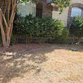 Flower Bed Weeding by Kingsley Degon L T D reviewed on September 16, 2026