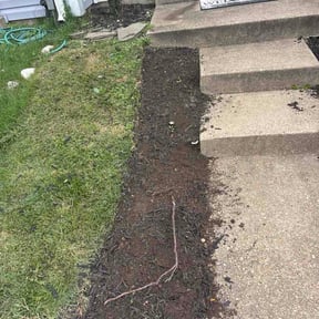 Flower Bed Weeding by Elevated curb appeal L.L.C reviewed on October 14, 2026