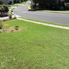 Flower Bed Weeding by TAT Landscaping &amp; Snow Removal LLC reviewed on September 12, 2026