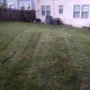 Leaf Removal by Hardy's Way Trucking llc reviewed on September 17, 2026