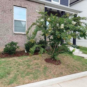 Flower Bed Weeding by Above Blessing Landscaping reviewed on September 15, 2026