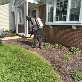 Flower Bed Weeding by GrassBros reviewed on September 11, 2026