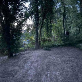 Leaf Removal by Royal Lawn and Landscape reviewed on August 23, 2026