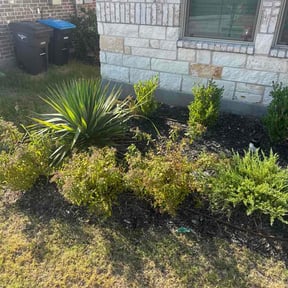 Flower Bed Weeding by Emac reviewed on September 13, 2026