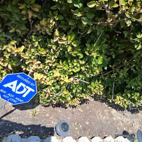 Flower Bed Weeding by Alwright landscaping and lawncare llc reviewed on October 14, 2026