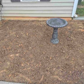 Flower Bed Weeding by Accurate Cuts reviewed on August 28, 2026