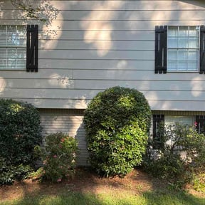 Bush Trimming by Yard Dr. LLC reviewed on August 29, 2026
