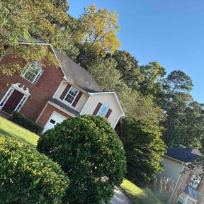 Bush Trimming by Hogman and Sons Lawncare Plus reviewed on September 2, 2026