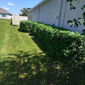 Bush Trimming by JDAA Lawn Care Service reviewed on September 16, 2026