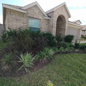 Flower Bed Weeding by Totolapan Lawn care reviewed on September 11, 2026