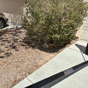Leaf Removal by Jackson landscaping reviewed on August 29, 2026