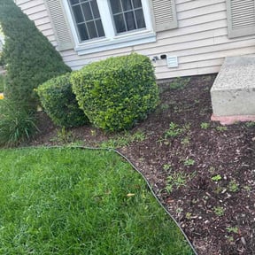 Flower Bed Weeding by Diaz sprinkler reviewed on September 14, 2026