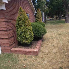 Bush Trimming by Mr. Mows It All reviewed on September 16, 2026