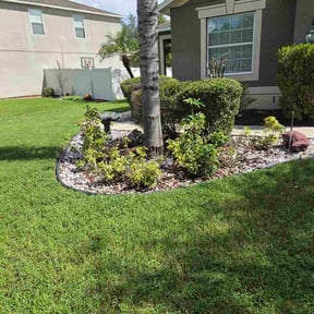 Leaf Removal by Top Lawn Companies, LLC reviewed on October 15, 2026