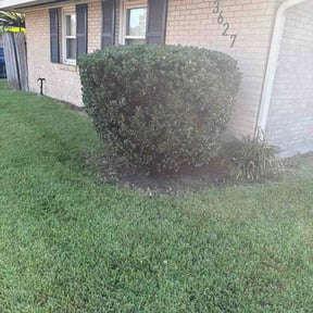 Bush Trimming by Pinnacle Maintenance Group reviewed on October 12, 2026