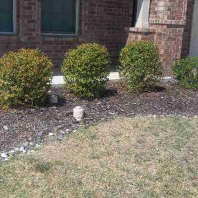 Flower Bed Weeding by QUALITY WORKS reviewed on October 21, 2026