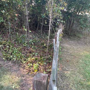 Flower Bed Weeding by Affordable Care reviewed on September 16, 2026