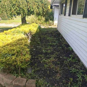 Bush Trimming by Ready to work home services llc reviewed on August 26, 2026
