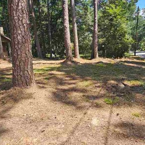 Leaf Removal by ATM reviewed on September 16, 2026