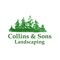 Mike Collins Profile Photo
