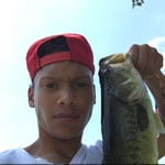 Sully lawn care Logo