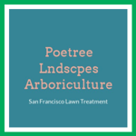 Poetree Lndscpes Arboriculture Logo