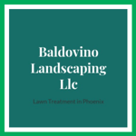 Baldovino Landscaping Llc Logo