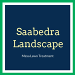 Saabedra Landscape Logo