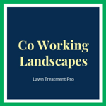 Co Working Landscapes Logo