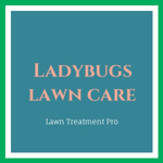 Ladybugs lawn care  Logo
