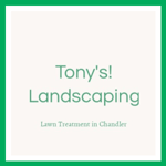 Tony&#039;s! Landscaping Logo