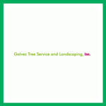 Galvez Tree Service & Landscaping Inc Logo