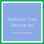 Parkman Tree Service Inc Logo
