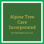 Alpine Tree Care Incorporated Logo