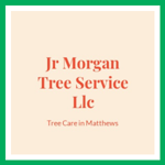 Jr Morgan Tree Service Llc Logo