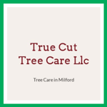 True Cut Tree Care Llc Logo