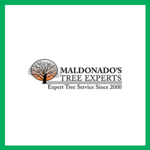 Maldonados Tree Experts Llc Logo