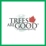 Treeo Tree Service Llc Logo