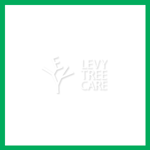 Levy Tree Care Llc Logo