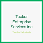 Tucker Enterprise Services Inc Logo