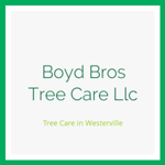 Boyd Bros Tree Care Llc Logo