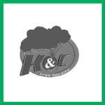 K &amp; C Trees &amp; Landscaping Service Llc Logo