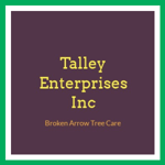 Talley Enterprises Inc Logo