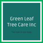 Green Leaf Tree Care Inc Logo