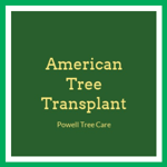 American Tree Transplant Logo