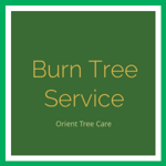 Burn Tree Service Logo