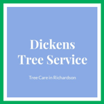 Dickens Tree Service Logo