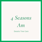 4 Seasons Am Logo
