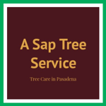 A Sap Tree Service Logo